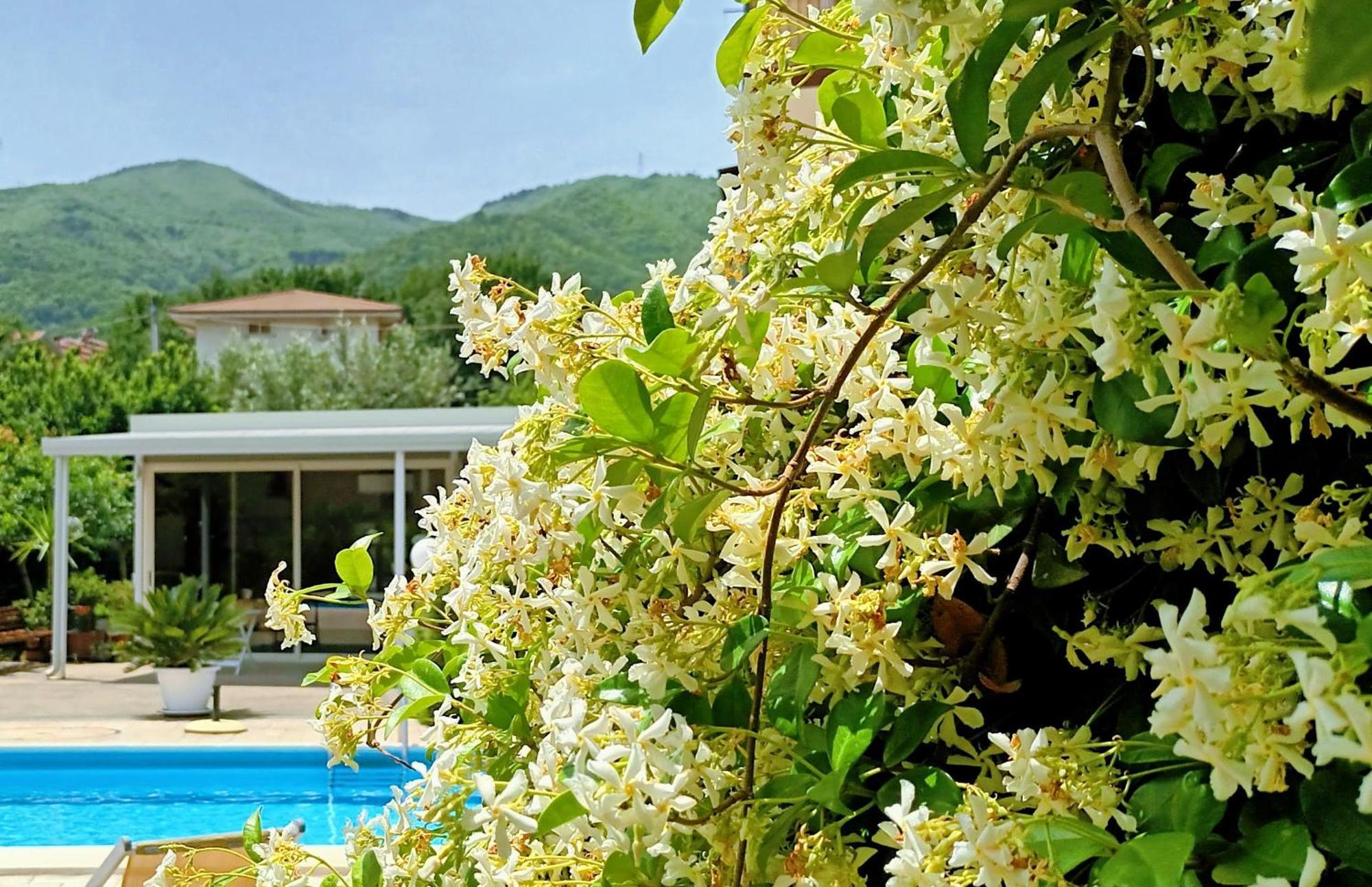 Bed and Breakfast La Residenza Del Marchesato Marano Marchesato Екстер'єр фото